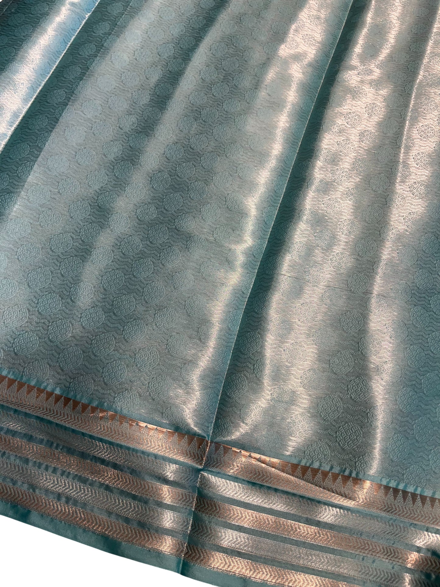 Southloom Tissue Silk Saree with Woven Work on Body and Borders (Blue)