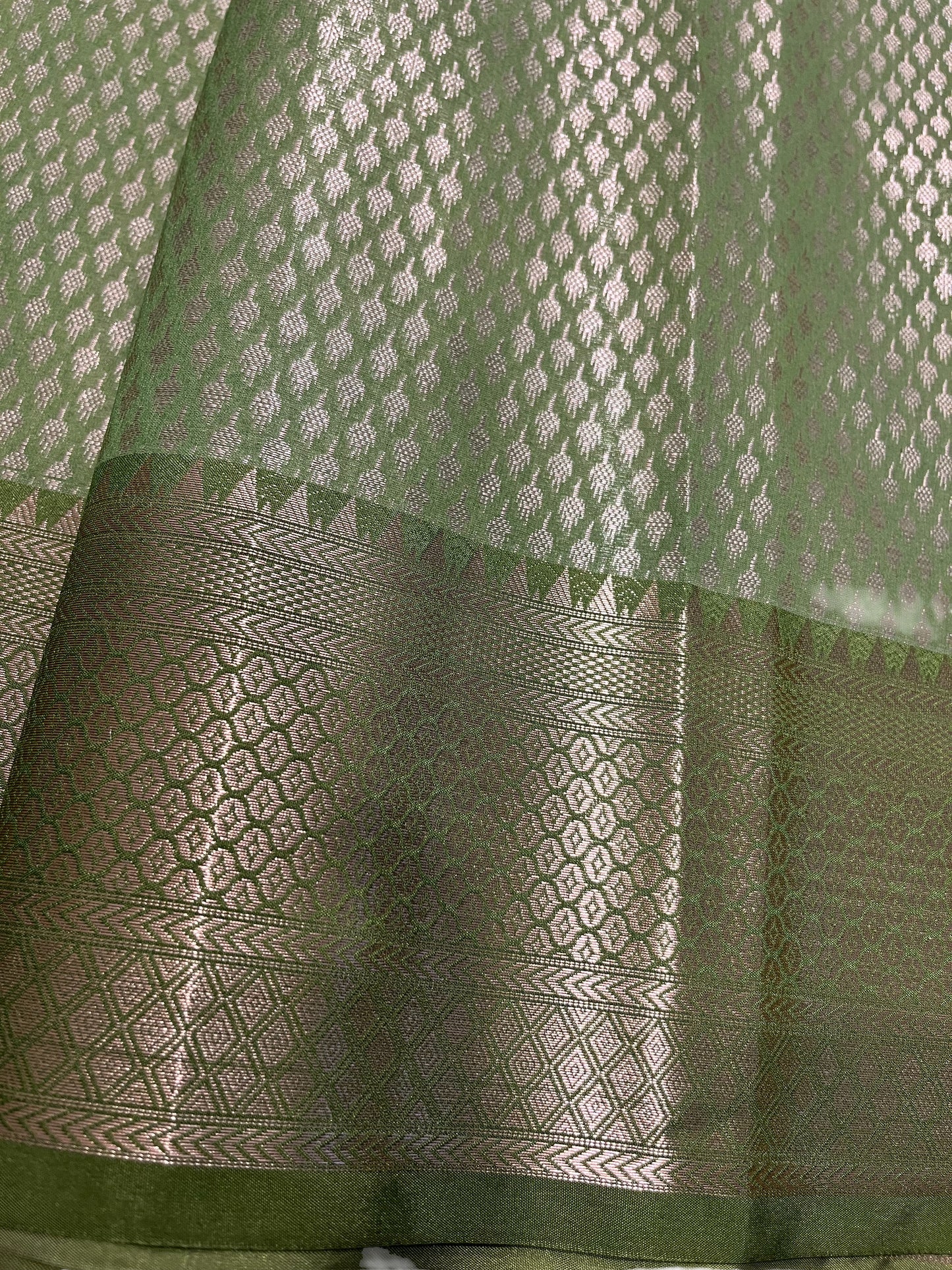 Southloom Tissue Silk Saree with Woven Work on Body and Borders (Beige & Green)
