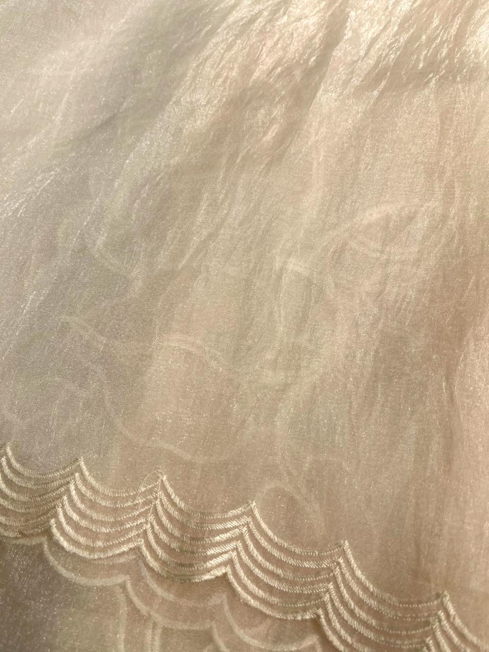 Southloom Turkish Organza Saree With Floral Design in Pastel Beige With Scalloped Border