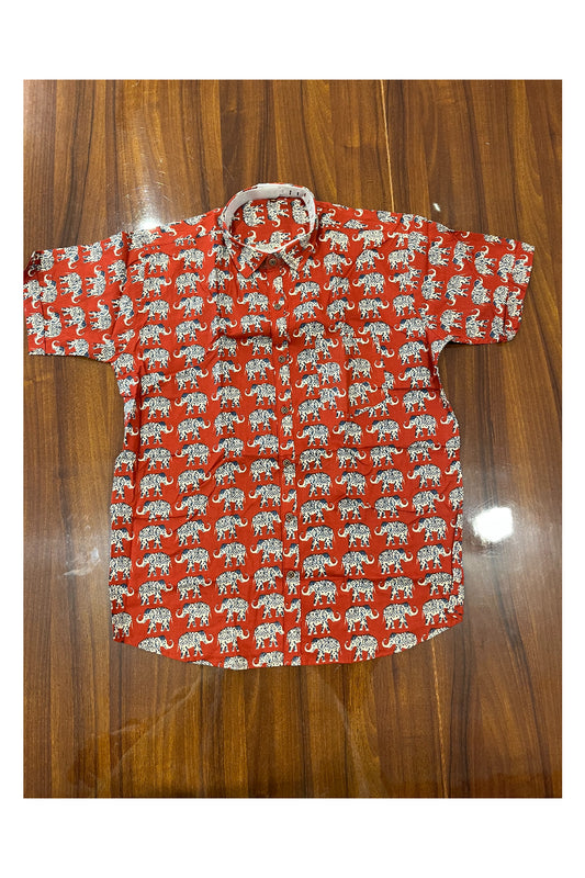 Southloom Jaipur Pure Cotton Printed Shirt For Men (XL)