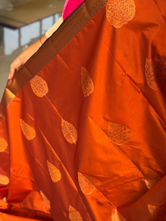 Burnt Orange Saree SLORANGE