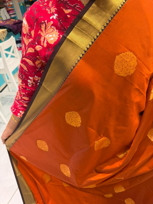 Burnt Orange Saree SLORANGE