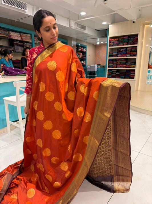 Burnt Orange Saree SLORANGE