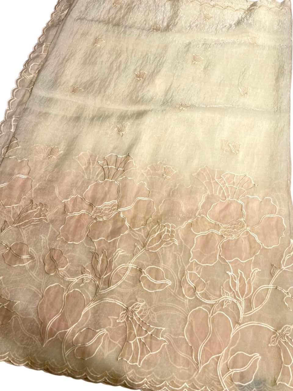 Southloom Turkish Organza Saree With Floral Design in Pastel Beige With Scalloped Border