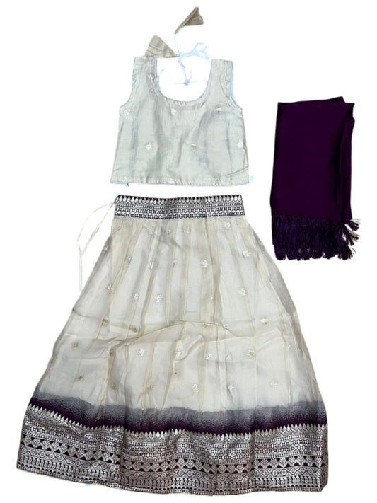 Southloom Stitched Organza Dhavani Set with Pavada and Blouse Piece in Purple SLKDHAVANI