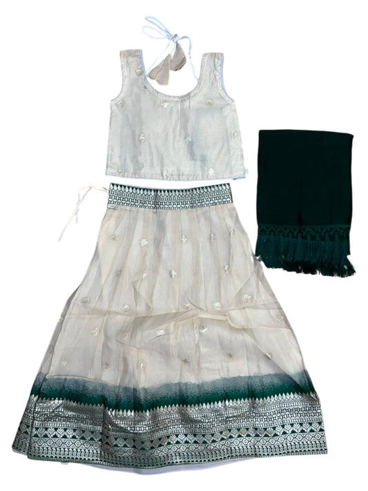 Southloom Stitched Organza Dhavani Set with Pavada and Blouse Piece in Green SLKDHAVANI