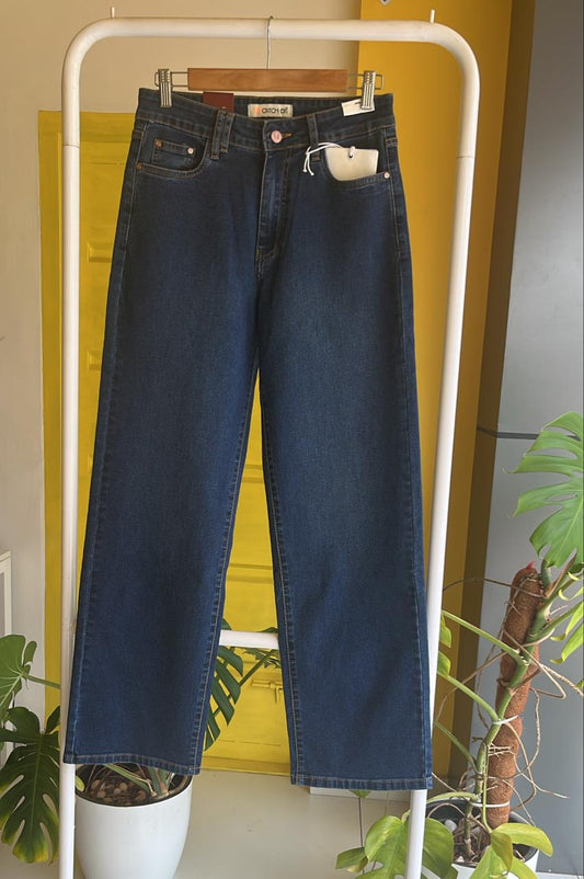 Wide Leg Denim Jeans for Women SL294