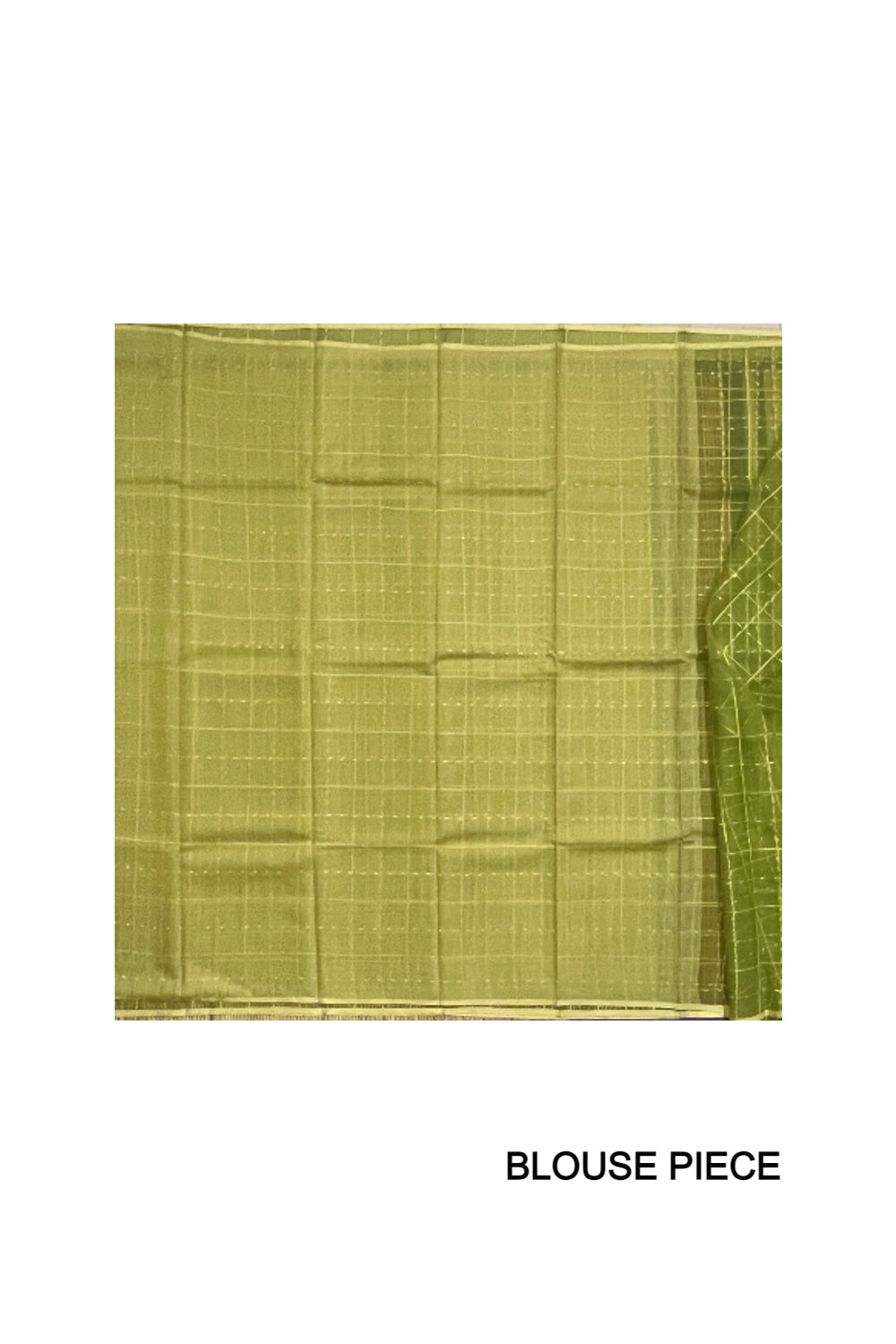 Southloom Organza Check Design Light Green Saree with Tassels Works