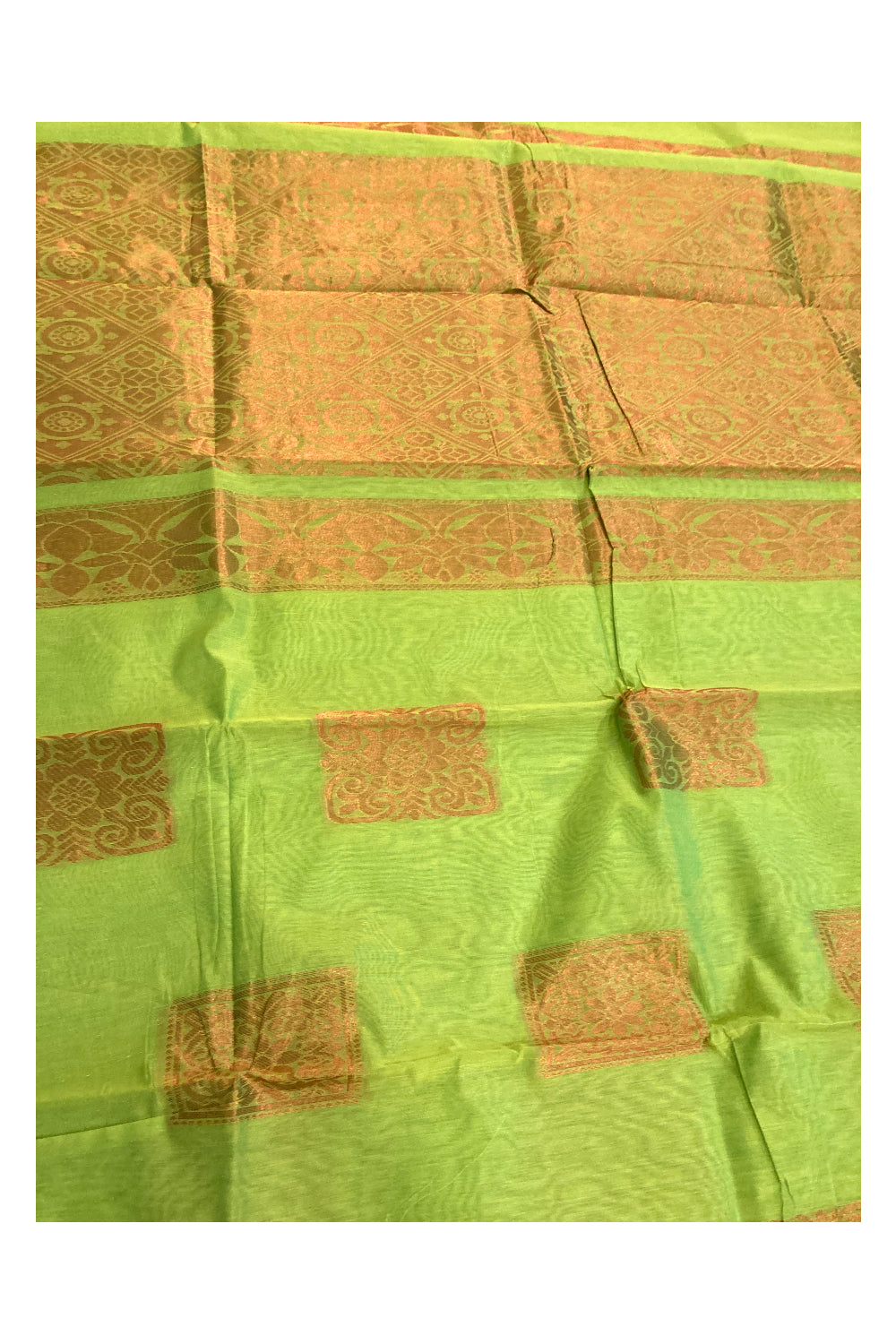 Southloom Cotton Silk Borderless Light Green Designer Saree with Zari Motifs